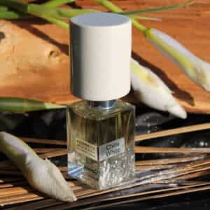 عطر تشاينا وايت من ناسوماتو