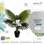 fan palm tree