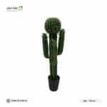 Special cactus tree